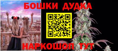 PSILOCYBIN Шахты