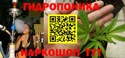 PSILOCYBIN Шахты
