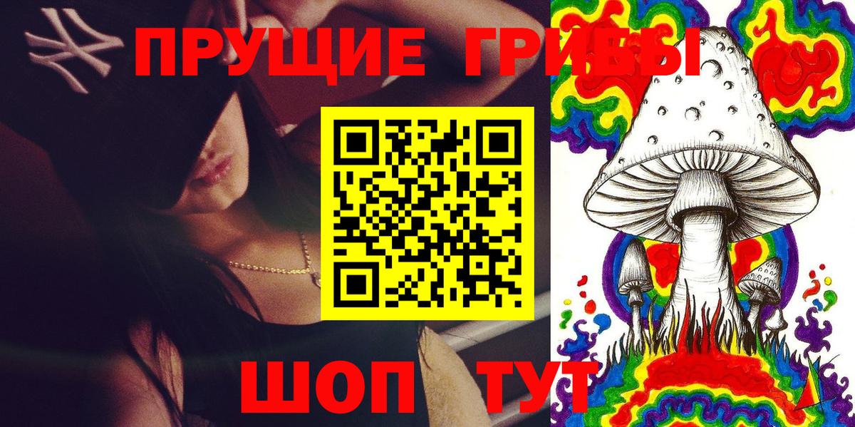 Псилоцибиновые грибы прущие грибы Коркино