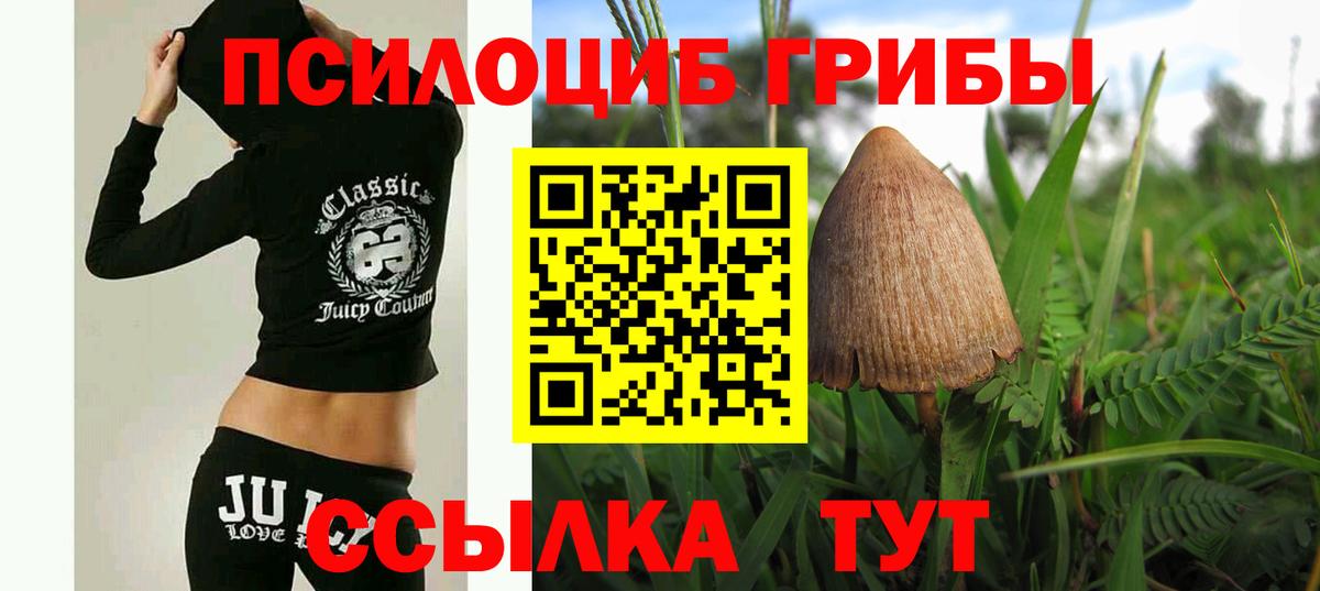 Коркино  Псилоцибиновые грибы ЛСД  Вход с VPN 